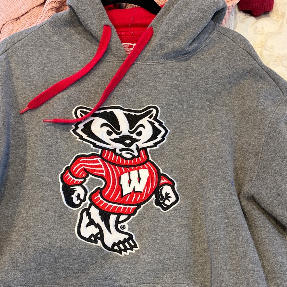 Gray UW Madison hoodie